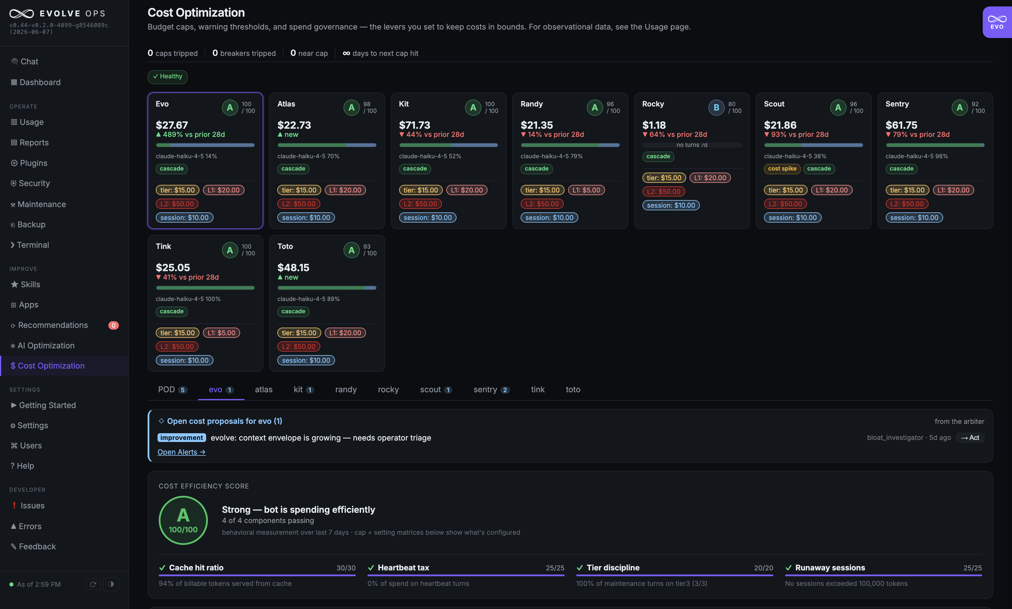 Cost Optimization
